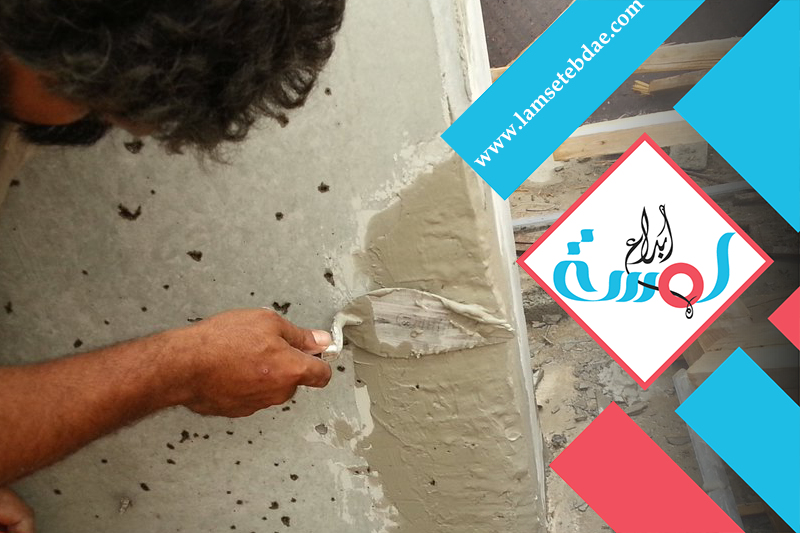 شركة معالجة التعشيش بالرياض