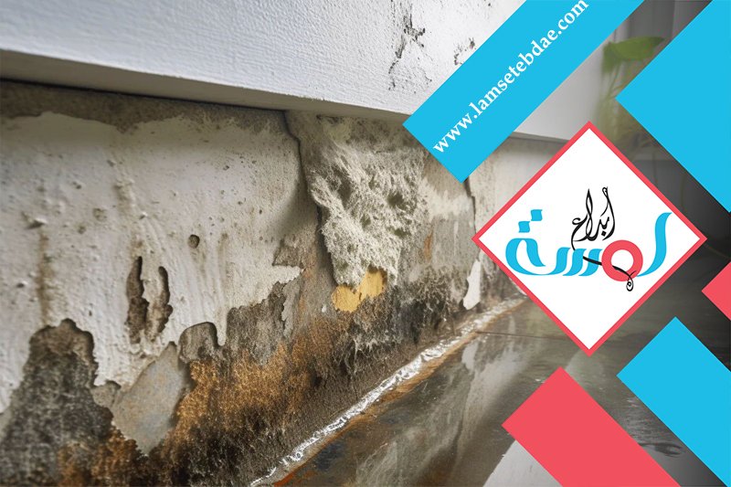 شركة معالجة التعشيش بالرياض 4 شركة معالجة التعشيش بالرياض