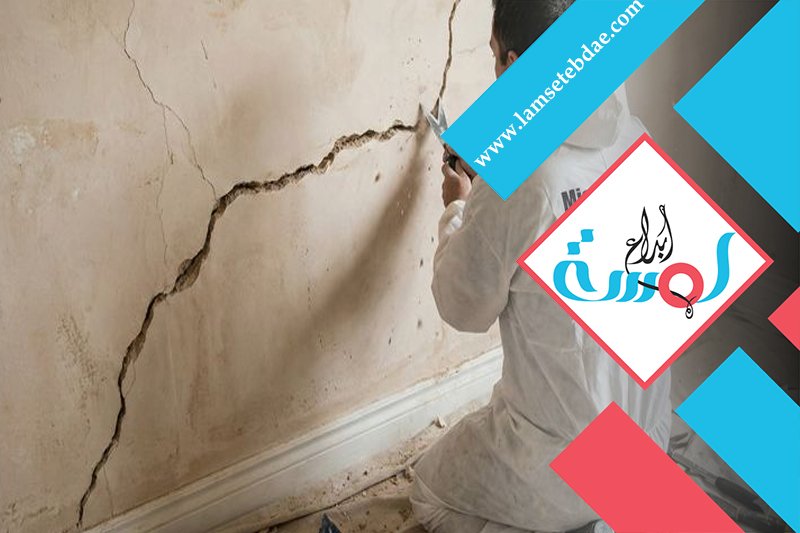 شركة أعمال لياسة ببيشة 5 شركة أعمال لياسة ببيشة